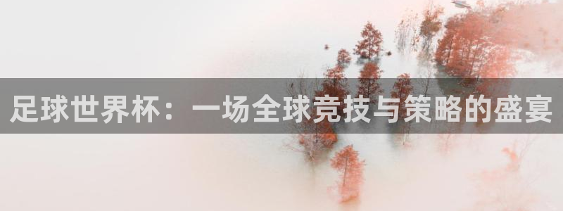 2026世界杯32强对阵图表:足球世界杯:一场全球竞技与策略的盛宴