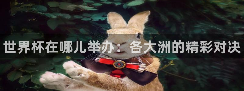 2026年世界杯对阵图:世界杯在哪儿举办:各大洲的精彩对决