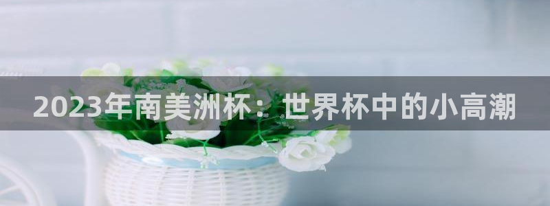 世界杯16强赛程表:2023年南美洲杯:世界杯中的小高潮