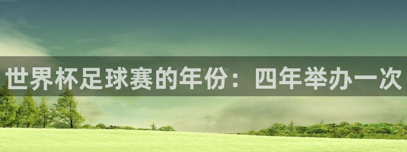 2026年世界杯:世界杯足球赛的年份:四年举办一次