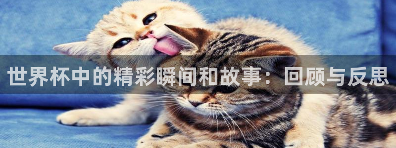 世界杯预选赛2026:世界杯中的精彩瞬间和故事:回顾与反思